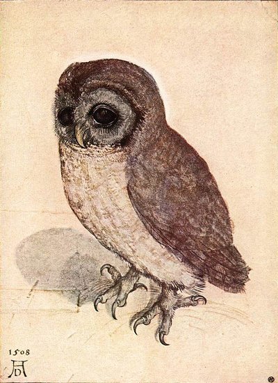 Mocho de Albrecht Dürer